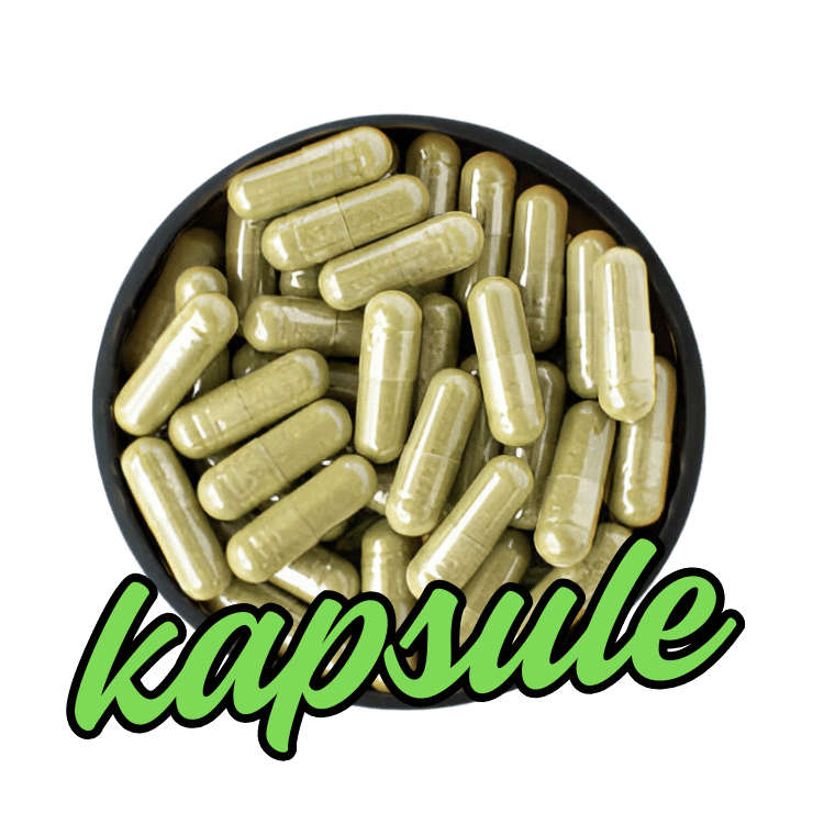 Kapsule Javanica a Hirsuta